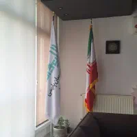 استخدام گرافیست