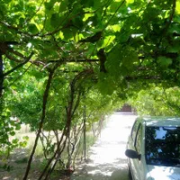 اجاره روزانه/هفتگی دربست ونزدیک به شیراز|اجارهٔ کوتاه‌مدت ویلا و باغ|شیراز, ریشمک|دیوار