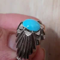 فیروزه عجمی