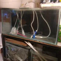 چند عدد آکواریوم