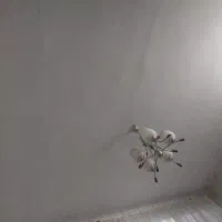 سوئیت