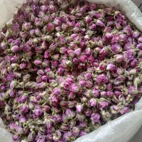 فروش غنچه گل محمدی کرمان