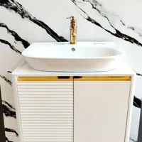دنیای تنوع در روشویی