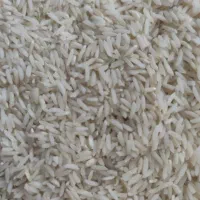 برنج هاشمی الموت