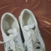 کیف و کفش نو و ...|کیف، کفش، کمربند|کرمانشاه, |دیوار