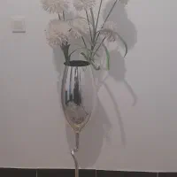 گلدان باگل ۸۰۰ هزار تومان