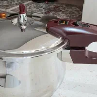 زودپز استیل روگازی تک دسته