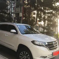 دایون وای 7 باقدرت موتور 2400سی سی 1402