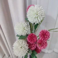 گل و گلدان شیک