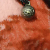 زنگوله شیر و خورشید