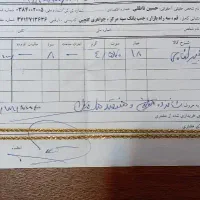 طلا کم کارکرده.النگوتکپوش گوشواره زنجیرپلاک|جواهرات|قم, زاویه|دیوار