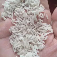 باسلام برنج طارم هاشمی دانه بلند