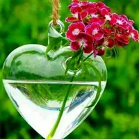 یک عدد پک نیک پیدا شده