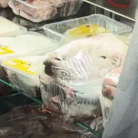 کله پاچه نرینه کشتار روز