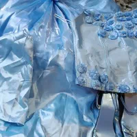 لباس زنانه|لباس|ساری, |دیوار