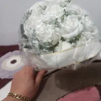 نوو تازه|لباس|تبریز, |دیوار