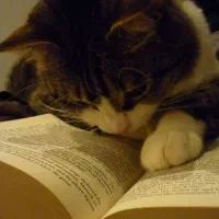 تدریس خصوصی زبان انگلیسی پایه هفتم تا نهم