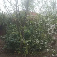 فروش زمین شهری به متراژ ۱۳۵۰۰هزار متر مربع