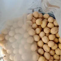 اجیل وخشکبار گردو|خوردنی و آشامیدنی|اهواز, پردیس دو|دیوار