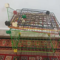 تعدادی قفسه