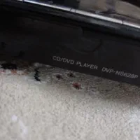 DVD player|پخشکننده DVD و ویدیو|تهران, دکتر هوشیار|دیوار