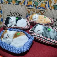 گربه ملوس موزیکال دکوری