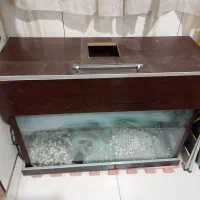 آکواریوم ماهی بزرگ با تمام وسایل