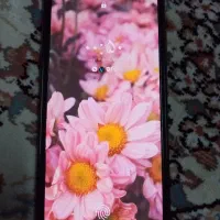 سامسونگ a52 و قاب سالم سالم