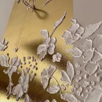 کارآموز خانم معماری