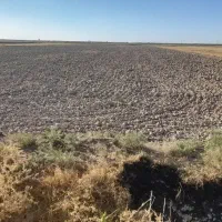 زمین کشاورزی غرق آبی به مساحت ۱.۷ هکتار