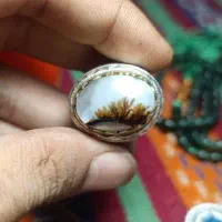 شجر بینظیر منظره