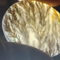 نگین و سنگ طبیعی تخفیف ویژه|زیورآلات و اکسسوری|مرودشت, ژیان|دیوار