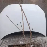 کاپوت.گلگیر.۲۰۶.پراید.پژو۴۰۵ زانتیا رانا