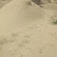 کاه علف تمیز