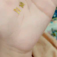 پلاک H