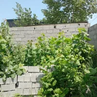 300-متر-زمین-مسکونی-کوچه-وحدت-چاف-سند-سیماک-UTM-amp-raquo