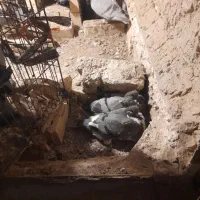 کبوتر|پرنده|تهران, پامنار|دیوار