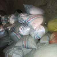 پرلیت گل و گلدان|گل و گیاه طبیعی|تربت‌حیدریه, منظر|دیوار