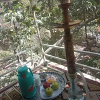 راهنمایی کنید