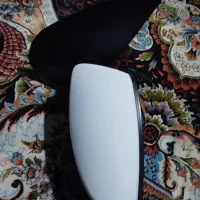 اینه بغل ۲۰۷