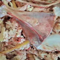 ضایعات گوشت