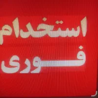 کارمند خانم