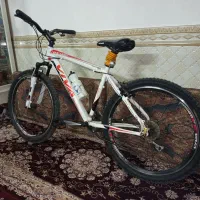 دوچرخه viva ویوا تایوان اصل