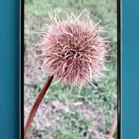 سامسونگ a35|موبایل|بروجرد, |دیوار