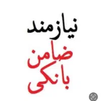 با ضمانت کردن کسب درامد کنید