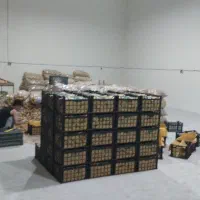 کارگر ساده آقا/خانم بسته بندی سورتینگ تره بار|استخدام صنعتی، فنی، مهندسی|تبریز, |دیوار