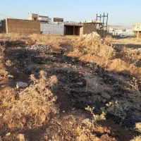 زمین-خیابان-نهضت