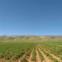 کارگر آبیار