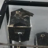 فنچ توت فرنگی