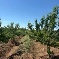 باغ در الوند فلکه قدس
